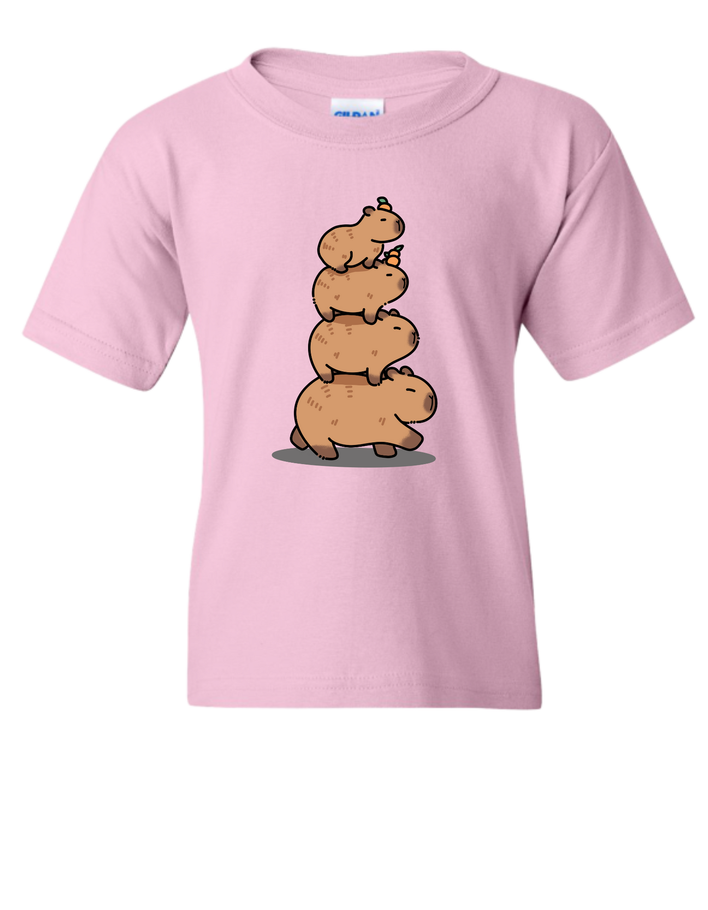 Capybara Youth Tshirt