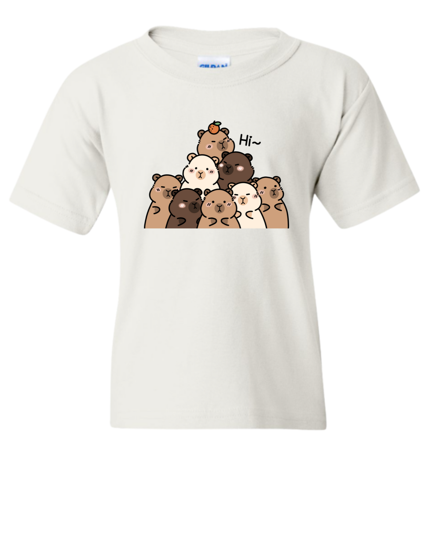 Hi Capybara Youth Tshirt